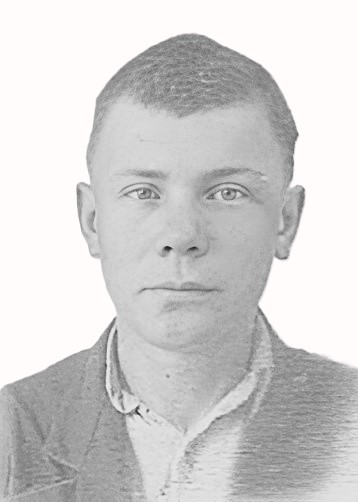 Гульдеев Николай Иванович