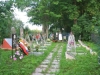 Ленинградская обл. , Киришский р-н, д. Мелехово,  военное кладбище из братских могил.